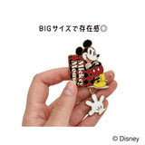 Disney Pin Collectioni