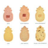 Disney Stitch Day Collection 2025 【Honolulu Cookie Company】曲奇餅禮盒