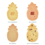 Disney Stitch Day Collection 2025 【Honolulu Cookie Company】曲奇餅罐子