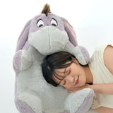 包日本直郵 POOH'S INTERIOR 大咕𠱸 Eeyore