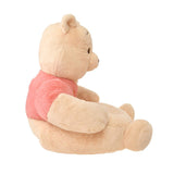 包日本直郵 POOH'S INTERIOR 小型梳化 Pooh