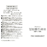 Disney Store Winter Goods 毛公仔毛毯 Peter Pan