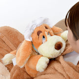 Disney Store Winter Goods 毛公仔暖水袋 Nana