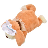 Disney Store Winter Goods 毛公仔暖水袋 Nana