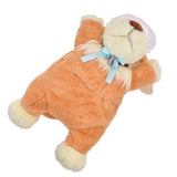 Disney Store Winter Goods 毛公仔暖水袋 Nana