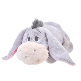 Disney Store Winter Goods 毛公仔暖水袋 Eeyore