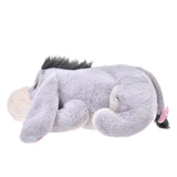 Disney Store Winter Goods 毛公仔暖水袋 Eeyore