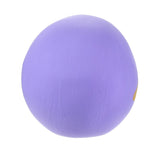 NEW YEAR DARUMA 2026 【白河だるま総本舗】小擺設 達摩 Daisy