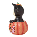 DISNEY STORE HALLOWEEN Figaro 擺設