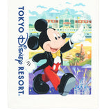 [東京迪士尼樂園] 長方巾 Park Shopping Bag Design