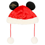 DisneyLand Christmas 2024 聖誕帽 Wear In Disney