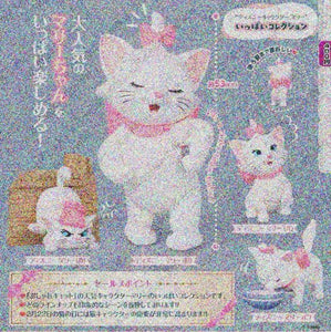 預訂一月中