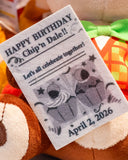 [東京迪士尼樂園] 毛公仔套裝 Chip&Dale 生日紀念